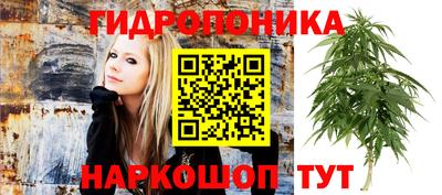 прущие крисы Апшеронск