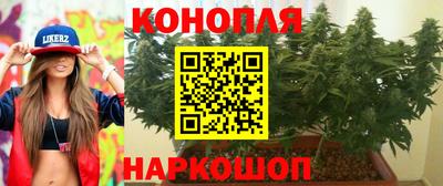 прущие крисы Апшеронск