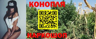 прущие крисы Апшеронск