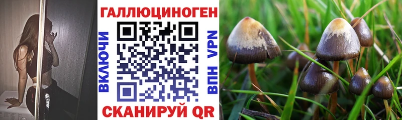 Галлюциногенные грибы мицелий  Апрелевка 