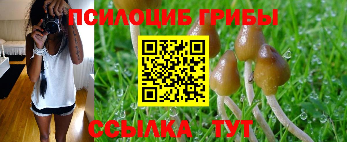 Галлюциногенные грибы прущие грибы  Апрелевка 