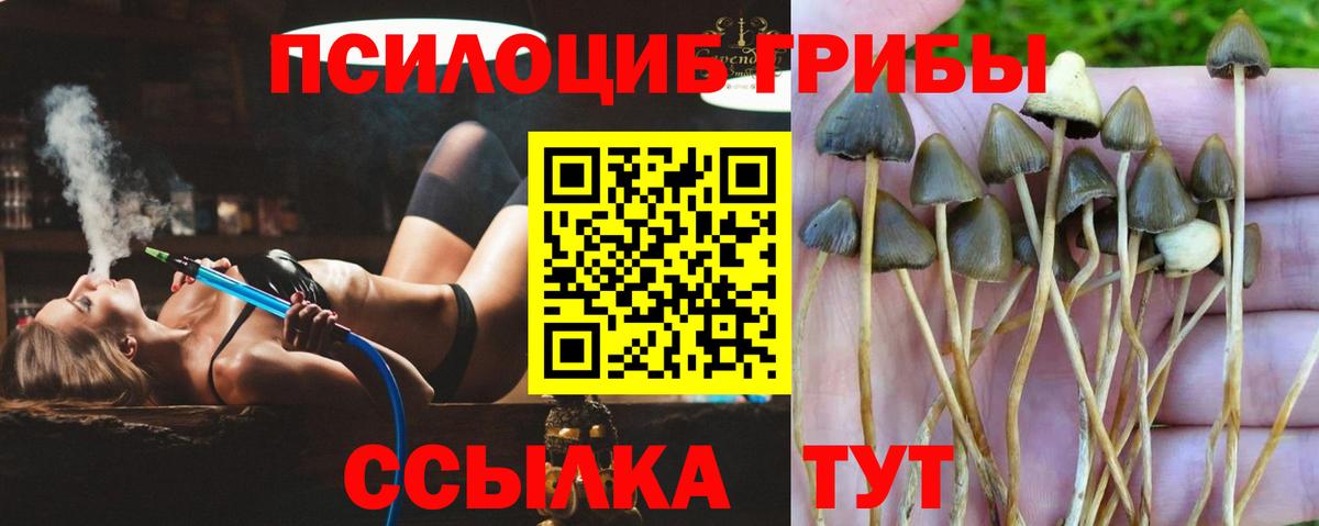 Галлюциногенные грибы GOLDEN TEACHER Апрелевка