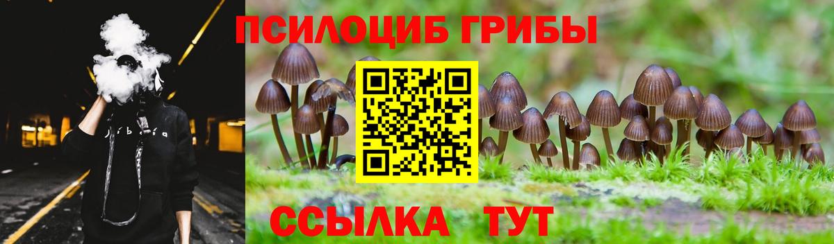 Псилоцибиновые грибы мицелий  Псилоцибиновые грибы мицелий  Вход с VPN  Апрелевка 